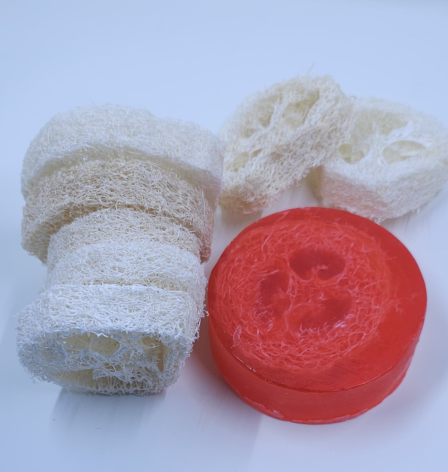 Asian Tea Blossom Loofah