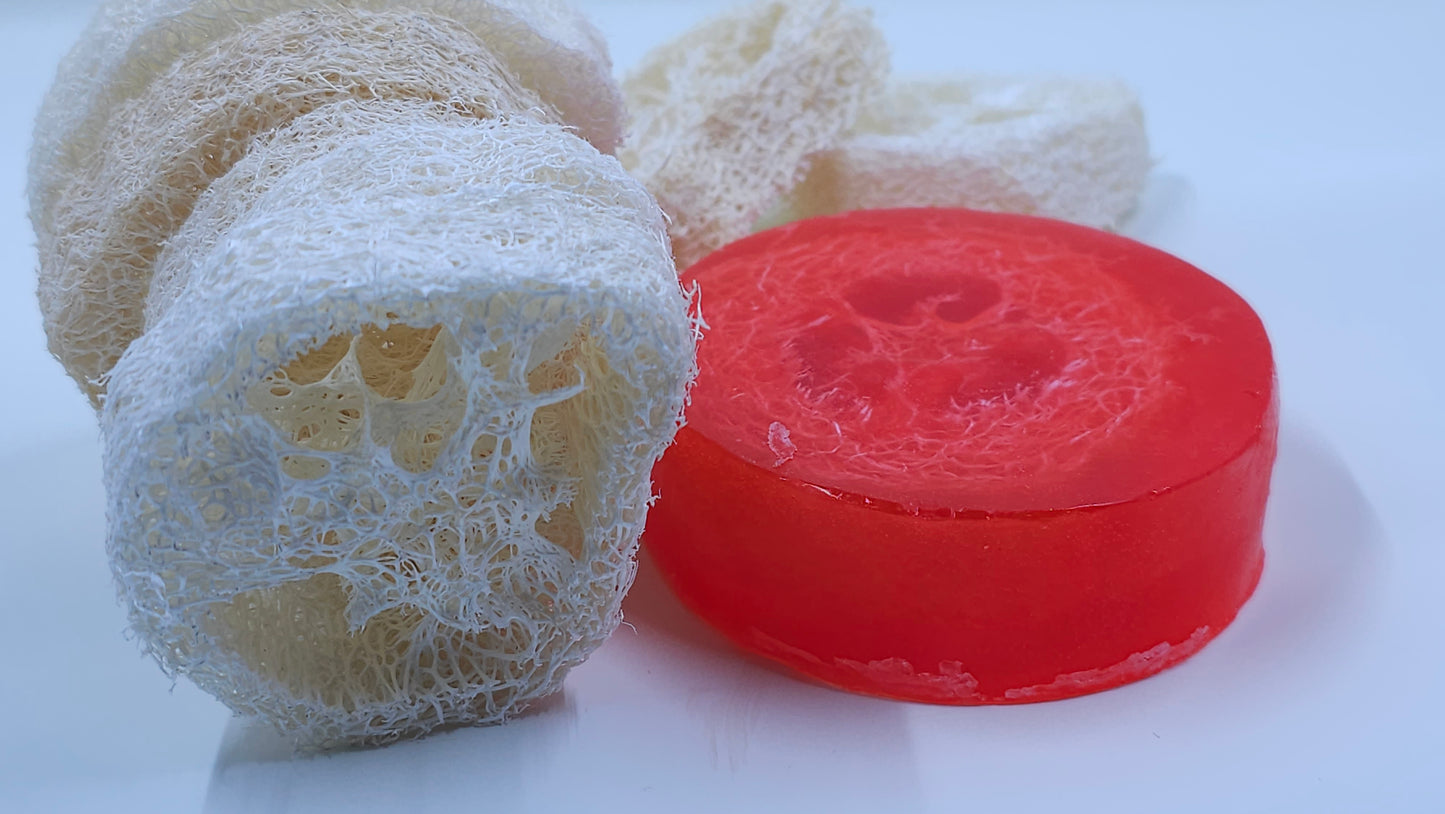 Asian Tea Blossom Loofah