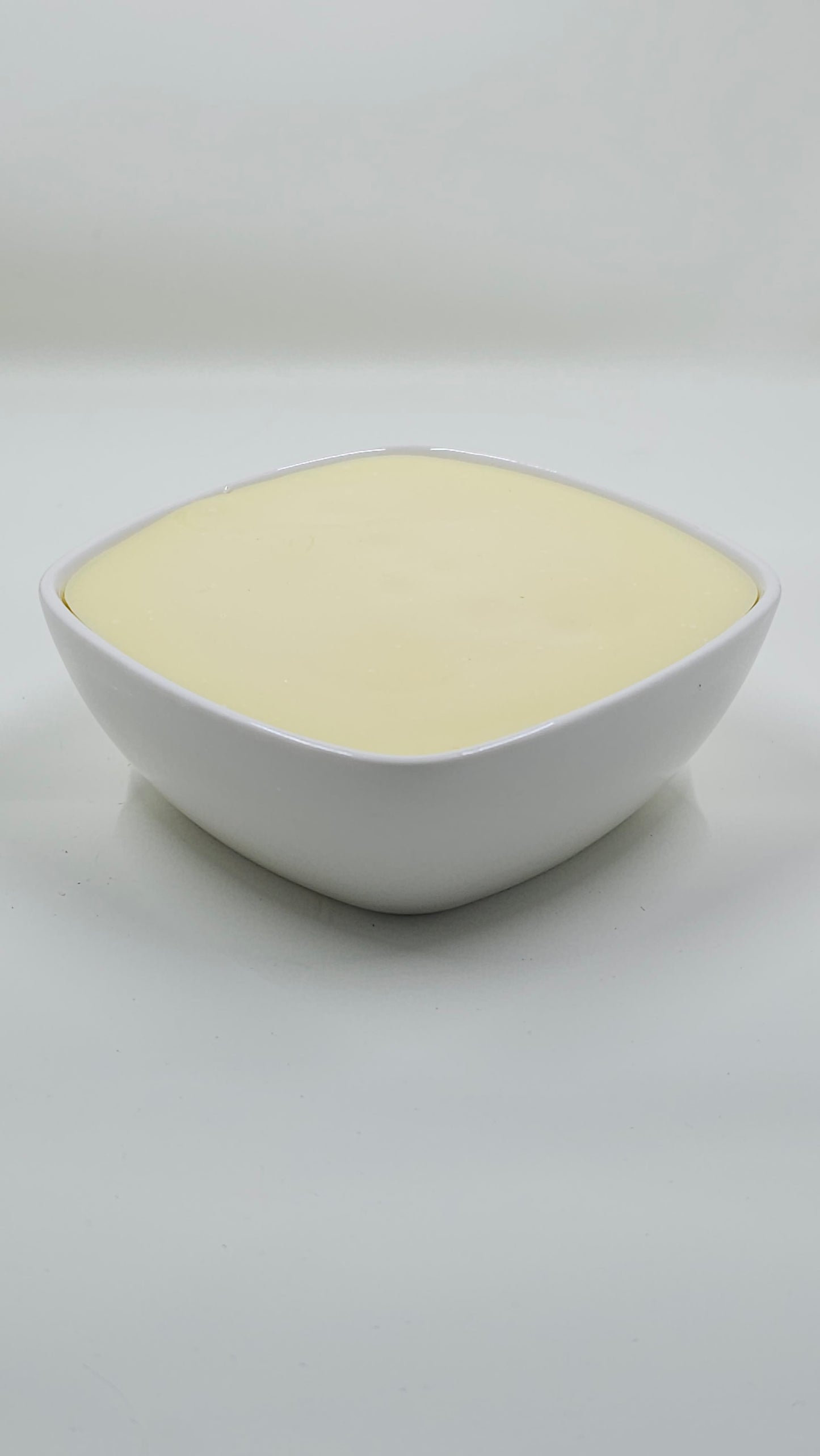 Nomad Suds All Natural Dish soap (W/ Bamboo Brush)