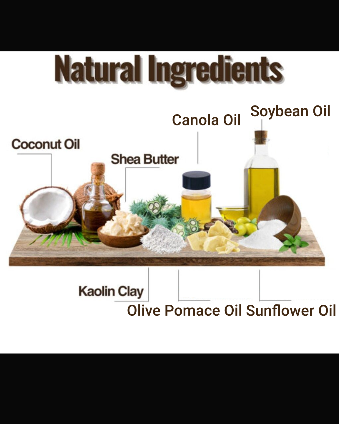 Winter Forest 5oz HandMade soaps, Soaps for Men, All Natural Soap