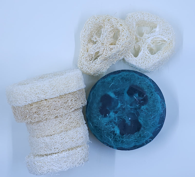 Blueberry Soap Loofah