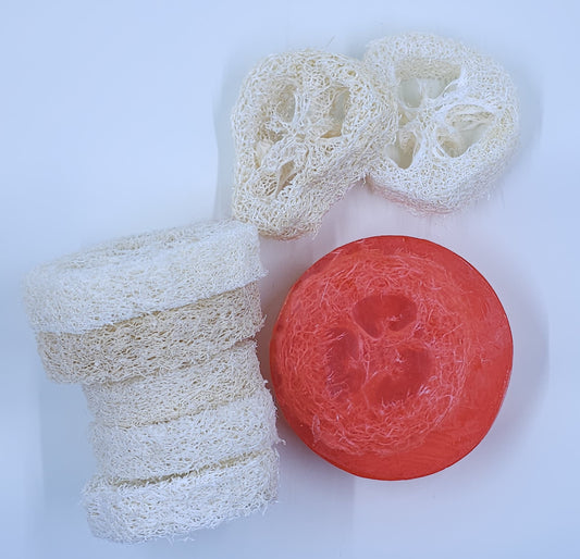 Asian Tea Blossom Loofah