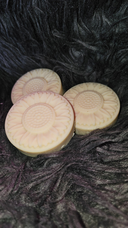 Aleppo Shampoo Bar