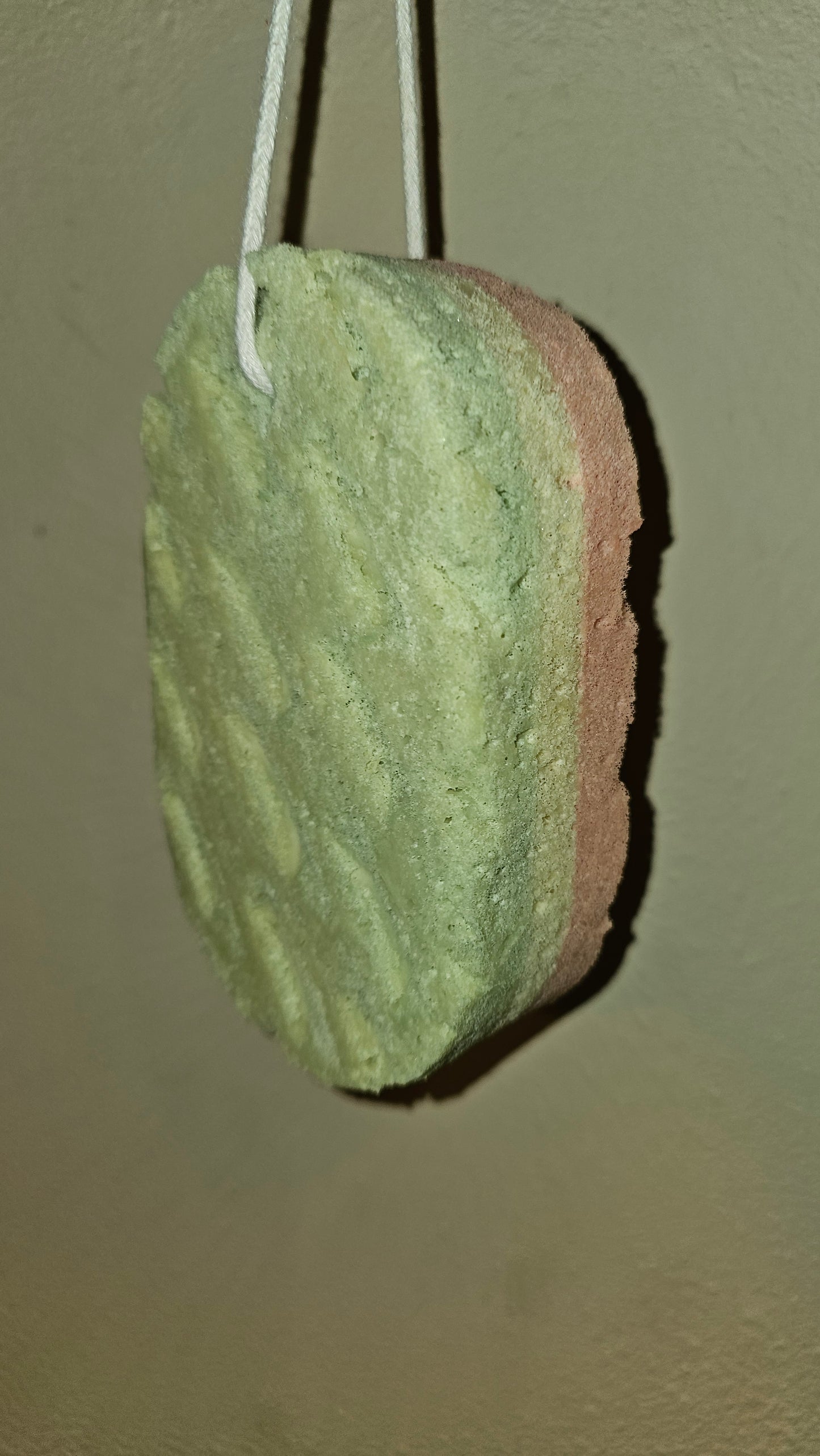 Sponge Soap